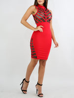 Mesh Stripped Bodycon Dress